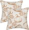 Pumpkin Decor Throw Pillows Case for Couch Maple Leaves Autumn Harvest Indoor Outdoor